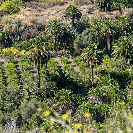 Cosy Bungalow Green Oasis Maspalomas  Exterior photo
